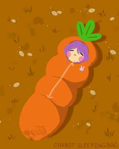 Carrot sleeping bag (pt. 1)